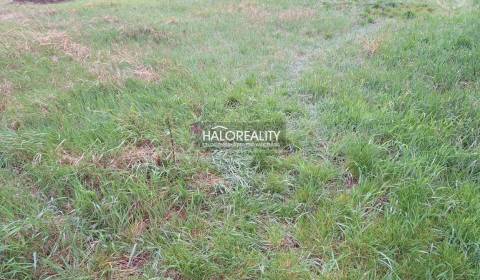 Predaj, pozemok pre rodinný dom   676 m2 Cífer