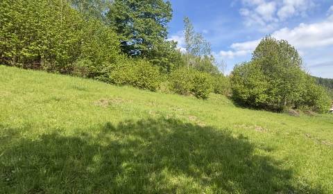 Pozemok na predaj v Čadci - Rieka, 1181 m2, pokojná lokalita