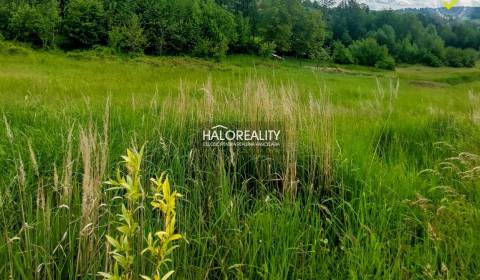 Predaj, pozemok pre rodinný dom 3600 m2 Považská Bys...