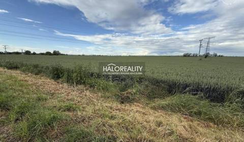 Predaj, orná pôda   2500 m2 Hul - EXKLUZÍVNE HALO RE...