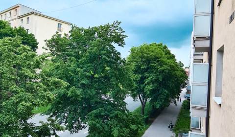 PRENÁJOM 2 IZBOVÉHO BYTU, RASTISLAVOVA UL., KOŠICE