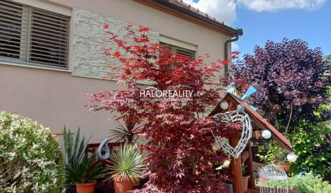 Predaj, rodinný dom Kameničná - EXKLUZÍVNE HALO REALITY