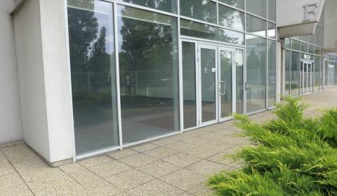 Skladovo - obchodný priestor o ploche 158 m2 so zázemím