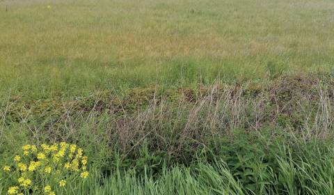 Pozemok na predaj na výstavbu haly v priemyselná zóna Sučany