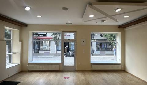 PRENÁJOM - OBCHODNÝ PRIESTOR V CENTRE, KOMÁRNO