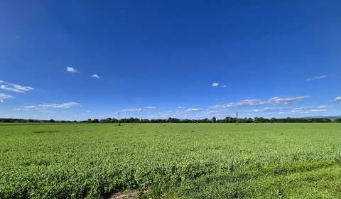Práznovce investičný pozemok 15442 m2 orná pôda  