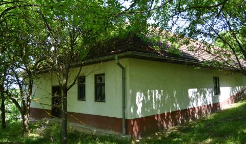 Domček na chalupárčenie pod starou morušou!