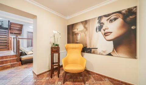 Predaj 6 izb.RD na podnikanie,192 m2, pozemok 221 m2,pri Poluse