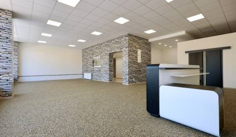 Na prenájom – štýlový priestor v Michalovciach | 222 m² | Okružná ul.