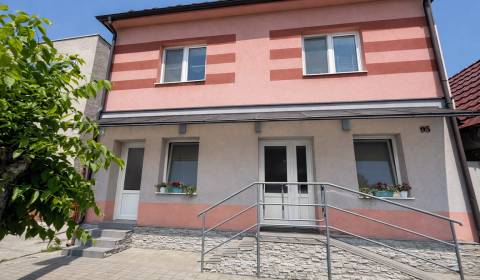 ROD. DOM s DVOMI BYTMI a VINÁRŇOU, SOBOTIŠTE - CENTRUM