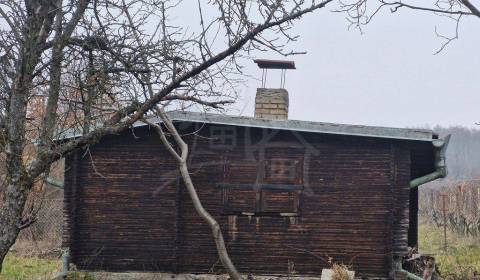 Pekná, udržiavaná vinica s chatkou za Kozárovcami