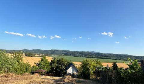 Predám vinicu s chatkou v Šahách – ideálne miesto pre oddych!