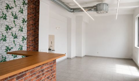 Obchodné priestory v Šamoríne