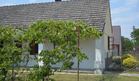 Chalúpka v typickom štýle Záhoria, pod starou lipou!