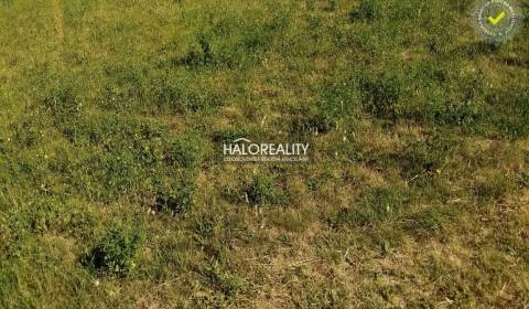 Predaj, pozemok pre rodinný dom   760 m2 Lubina