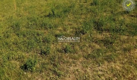 Predaj, pozemok pre rodinný dom   760 m2 Lubina