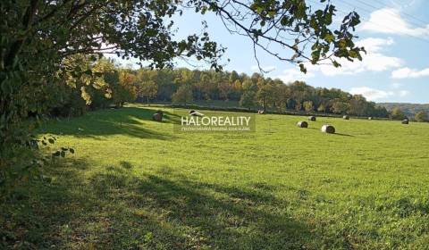 Predaj, pozemok pre rodinný dom 1000 m2 Horný Tiso...