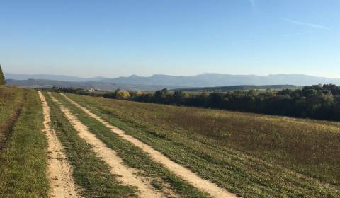 Prievidza – 986 m2 ORNÁ PÔDA - PREDAJ