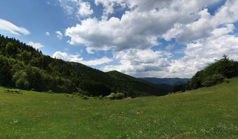 Čavoj – Spoluvlastnícky podiel na lesoch (urbár)