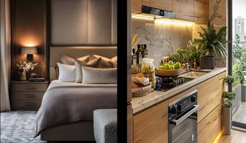 1 IZBOVÝ APARTMÁN A2 (1 SPÁLŇA + 1 OBÝV. IZBA) SANTA MONICA