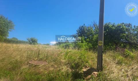 Predaj, záhradný pozemok 2529 m2 Žemberovce - ZNÍŽ...
