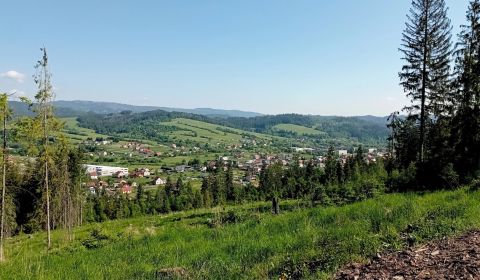 Raková – Spoluvlastnícky podiel na lese