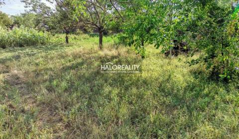 Predaj, pozemok pre rodinný dom   600 m2 Horná Streda