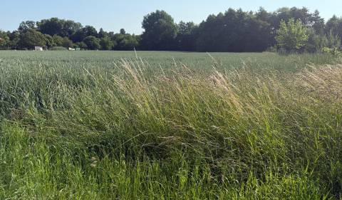 Bojna-krásny veľký pozemok na stavbu RD, 37- árov, šírka 19m