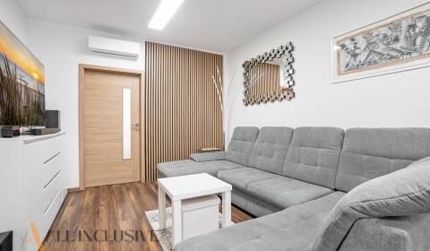 NA PRENÁJOM 2 IZB BYT SO SÚKR. POZEMKOM,VEĽKÉ DVORNÍKY