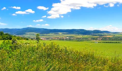 Ražňany – 2.150 m2 PÔDA a LES