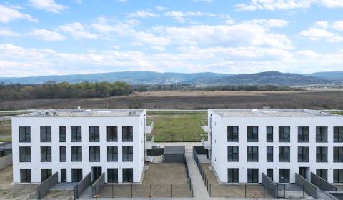 POSLEDNÝ VOĽNÝ 2- izbový byt 56 m2, PIVNICA, KLIMA, ŽALÚZIE