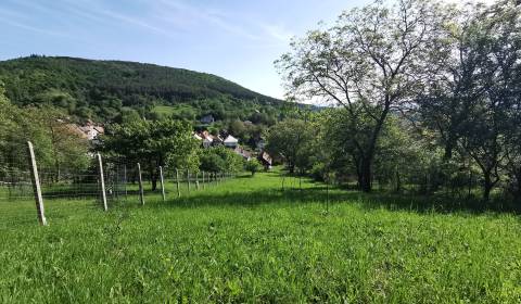 PREDAJ-vidiecky dom s veľkým pozemkom pod lesom, Nitr.Sučany,Prievidza