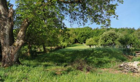 PREDAJ-vidiecky dom s veľkým pozemkom pod lesom, Nitr.Sučany,Prievidza