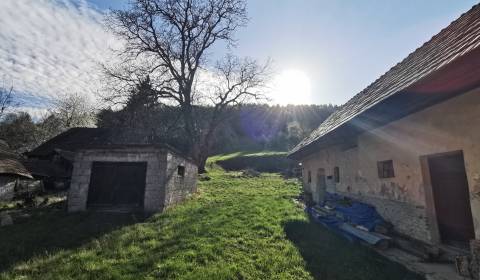 PREDAJ-vidiecky dom s veľkým pozemkom pod lesom, Nitr.Sučany, okr.PD