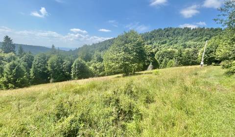 Predaj pozemku pri lyžiarskom stredisku v intraviláne Oščadnica