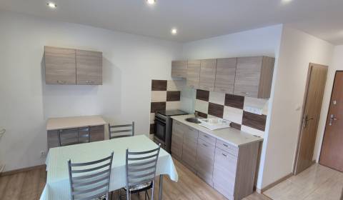 Novinka: Na prenájom pekný veľký zariad 1 izbový byt 42m2  Nové Zámky