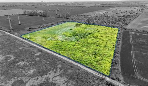 Zemplínske Kopčany – Investičný pozemok vo výlučnom vlastníctve 1/1