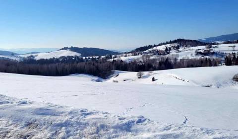 Pozemok (7750m2) s výhľadom na Nízke Tatry.