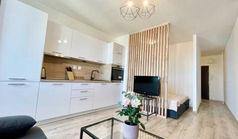 PRENAJATÉ: Zrekonštruovaný 1 izbový byt s loggiou, Ružinov