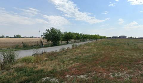 ROZSIAHLY AREÁL, MOST PRI BRATISLAVE