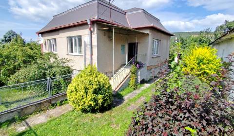 RODINNÝ DOM + ZÁHRADNÝ DOMČEK + GARÁŽ, VEĽKÝ ŠARIŠ, 608 M2