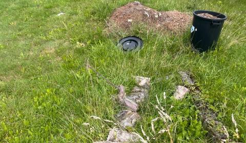 Predaj: Lukratívny pozemok v obci Oščadnica (312-P)