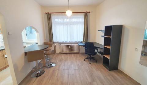 1 izbový byt v centre s veľkým potenciálom