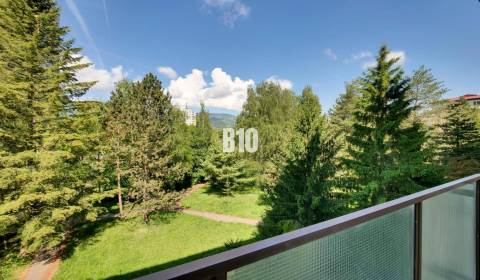 Priestranný 3-izbový byt 83,5m2 s parkom a zelenými výhľadmi, Ul. Výc