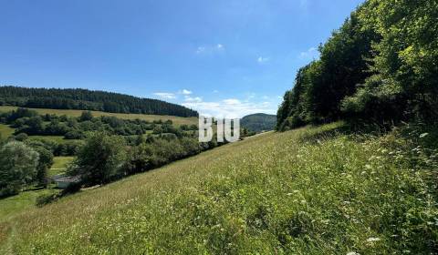 Slnečný stavebný pozemok Dolný Vadičov 7321m2
