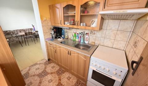 Malé Ripňany - 3 izbový veľkometrážny byt + samostatná garáž