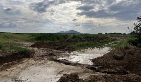 Na predaj stavebný pozemok pre rodinný dom – Horná Krupá (15 km od TT)