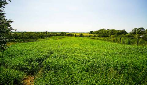 Na predaj pozemok blízko centra s výhľadom na kalváriu