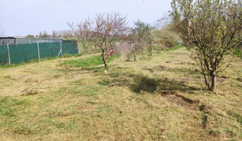 Predaj pozemku s veľkou rozlohou Moravské Kračany (okres DS)