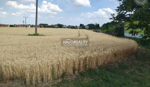 Predaj, pozemok pre rodinný dom   2605 m2 Kútniky, H...